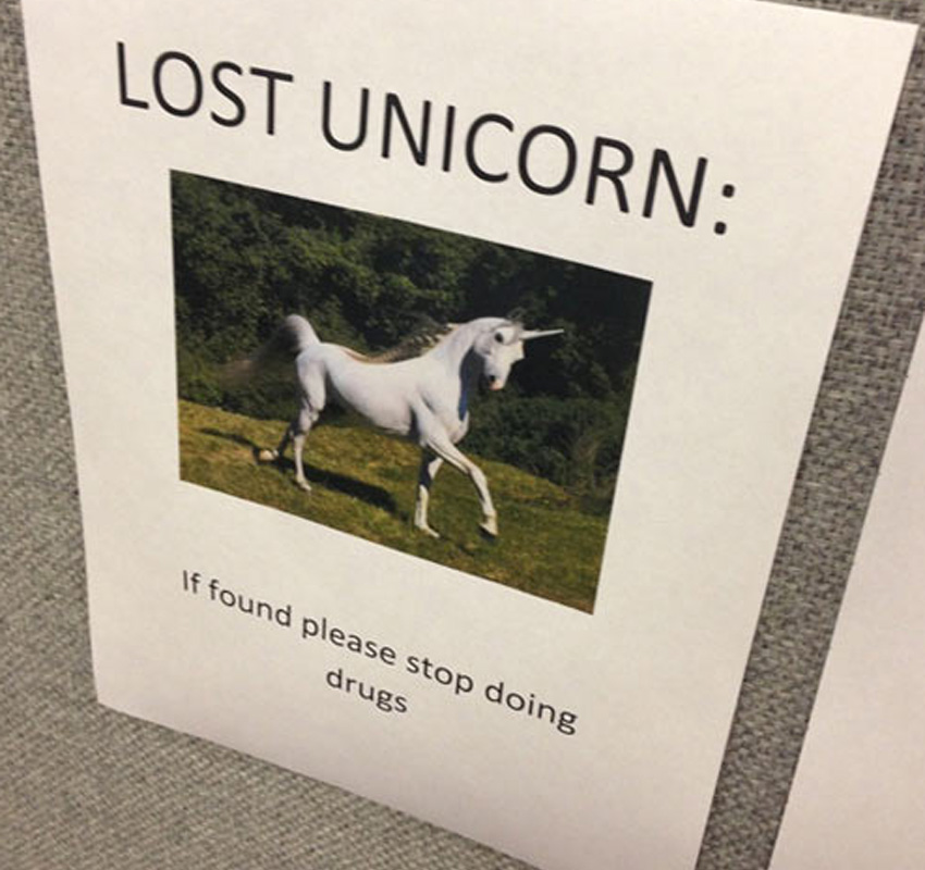 lost-dog-funny-picture