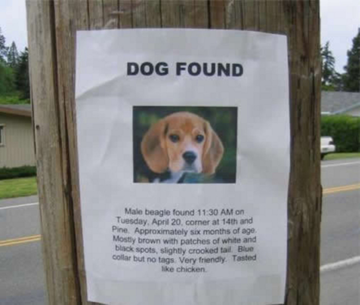 This sign says the missing beagle tasted like chicken