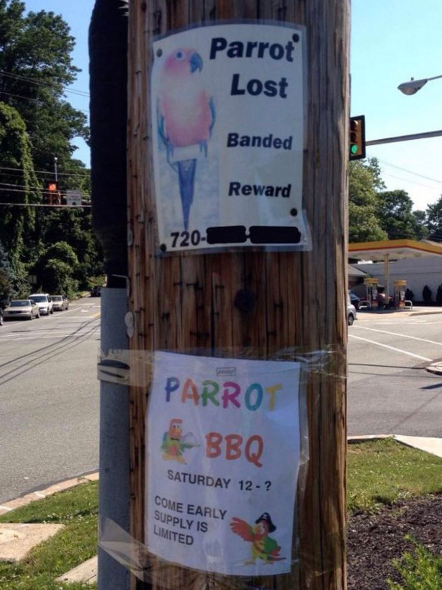 lost parrot bbq poster