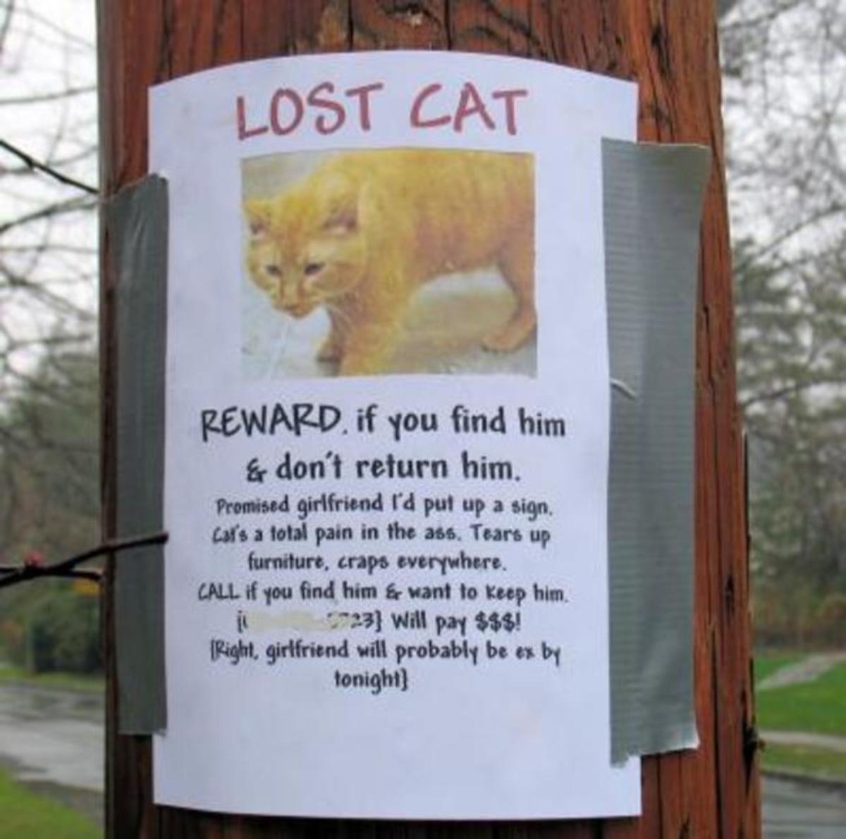 boyfriend was forced to make lost cat sign