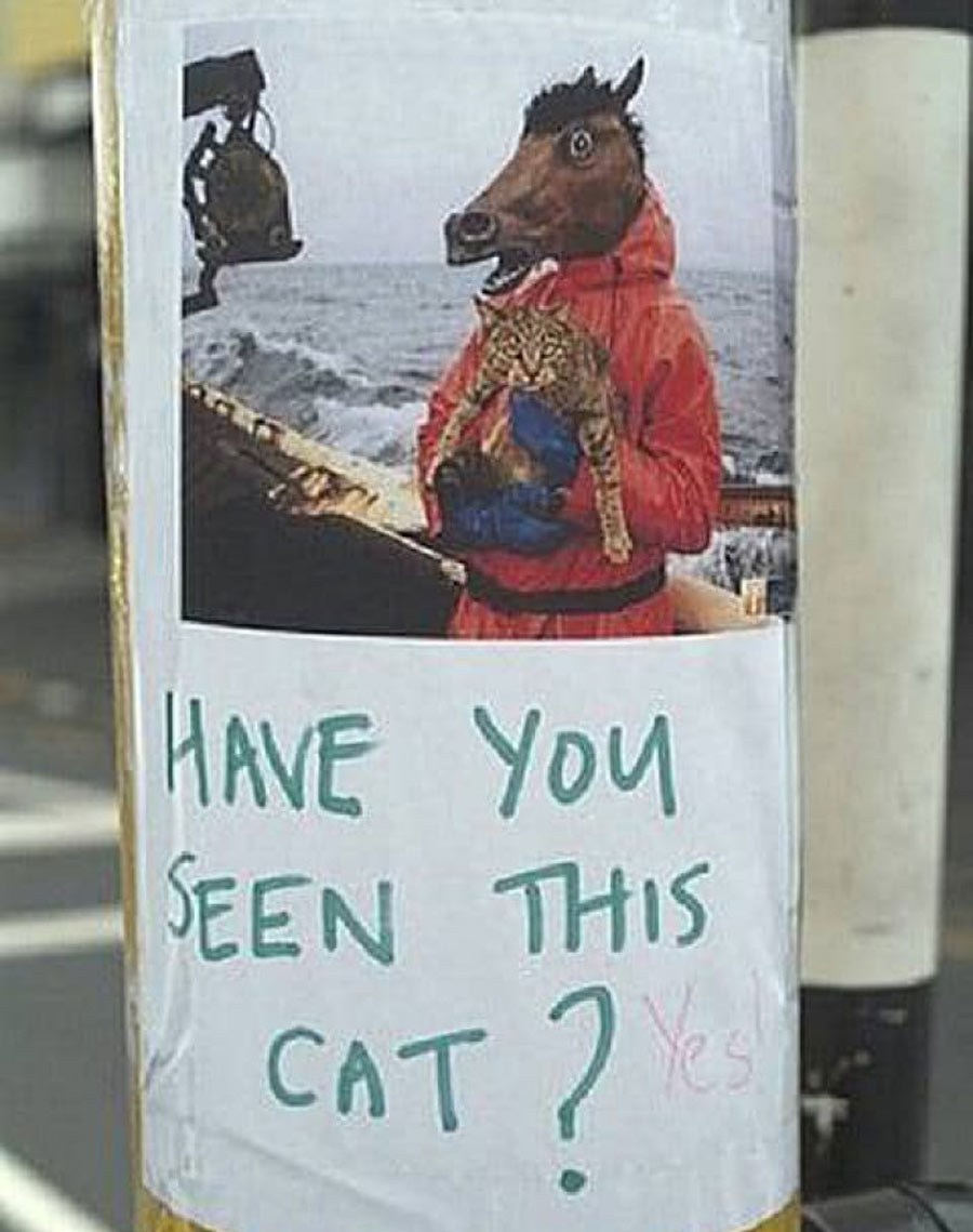 horse holding a cat on a ship 