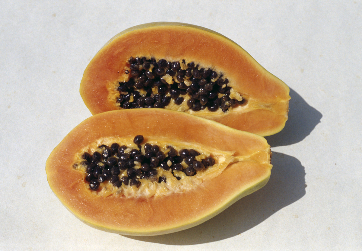 Papaya or Papaw (Carica papaya), cut in cross-section, Caricaceae.