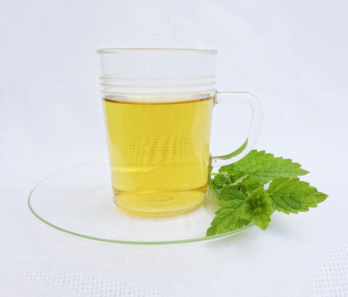 a cup of lemon balm tea