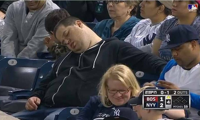 a fan asleep at a yankees game