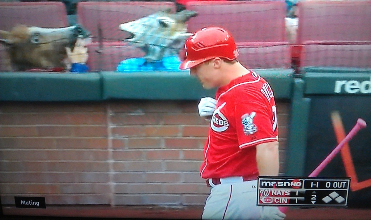 a horse and a giraffe at a cincinatti reds game