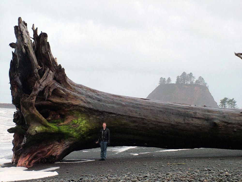 Just a normal beach day in Ireland