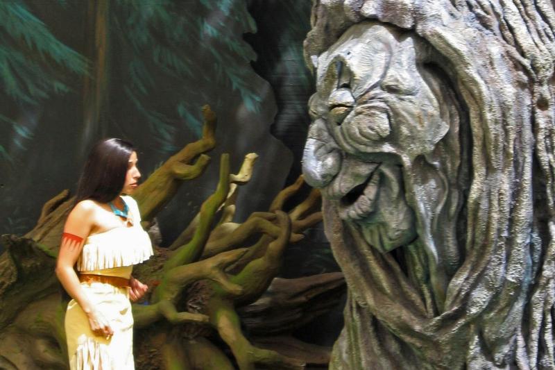 Pocahontas and her Forest Friends