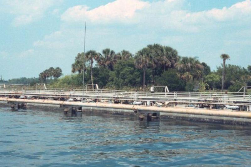 Wave_Machine_located_across_from_the_Polynesian_be-16022