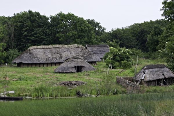 The arrival of the early Neolithic farmers in Britain affected the populations that already inhabited the island.