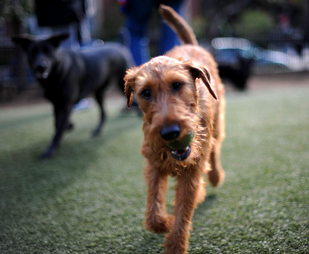 GettyImages-105926336