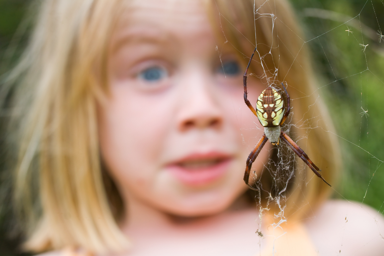 "Young child surprised by a wasp spider, Argiope aurantia"