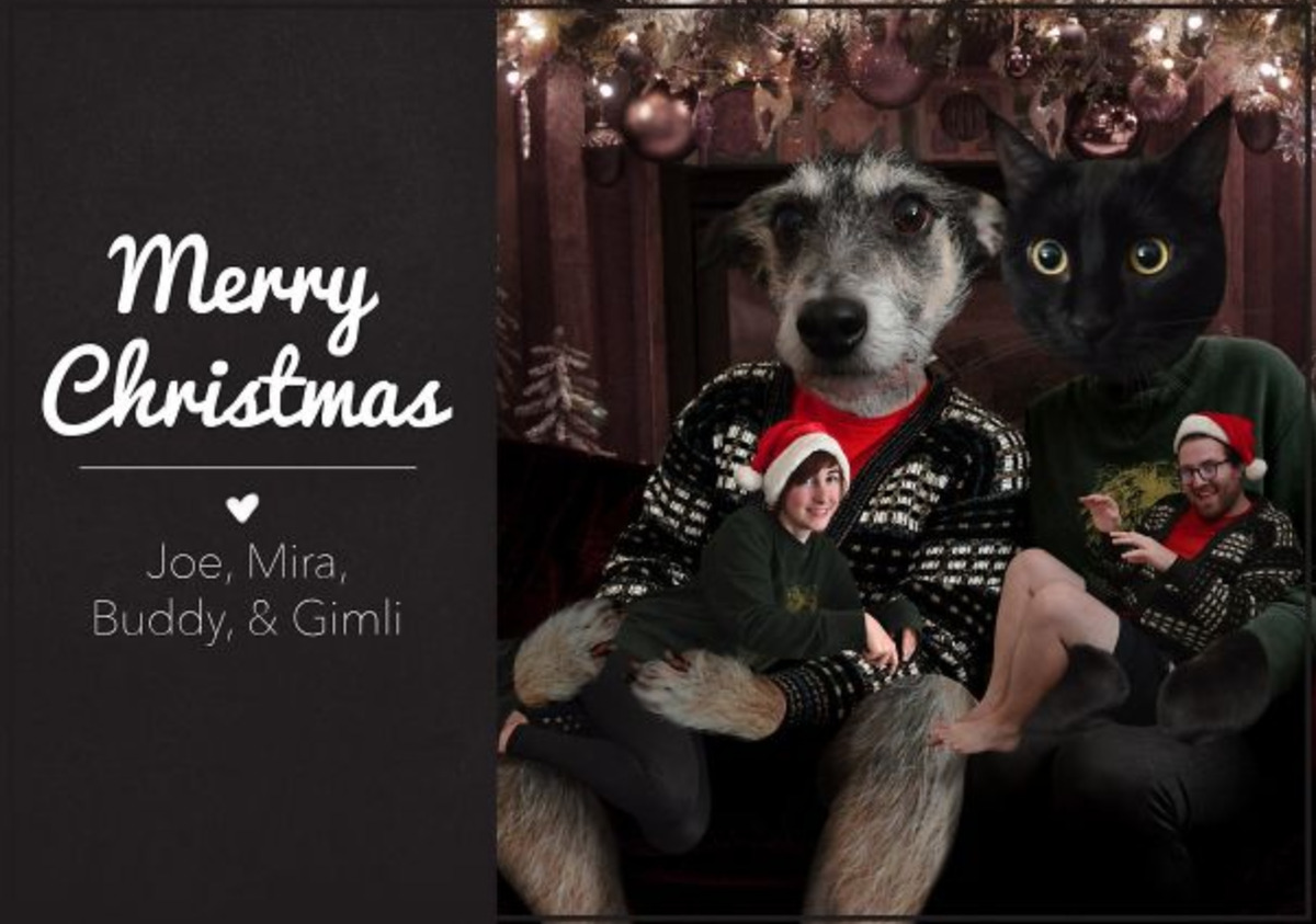 family photoshops animal heads onto their own, and their heads onto pets'
