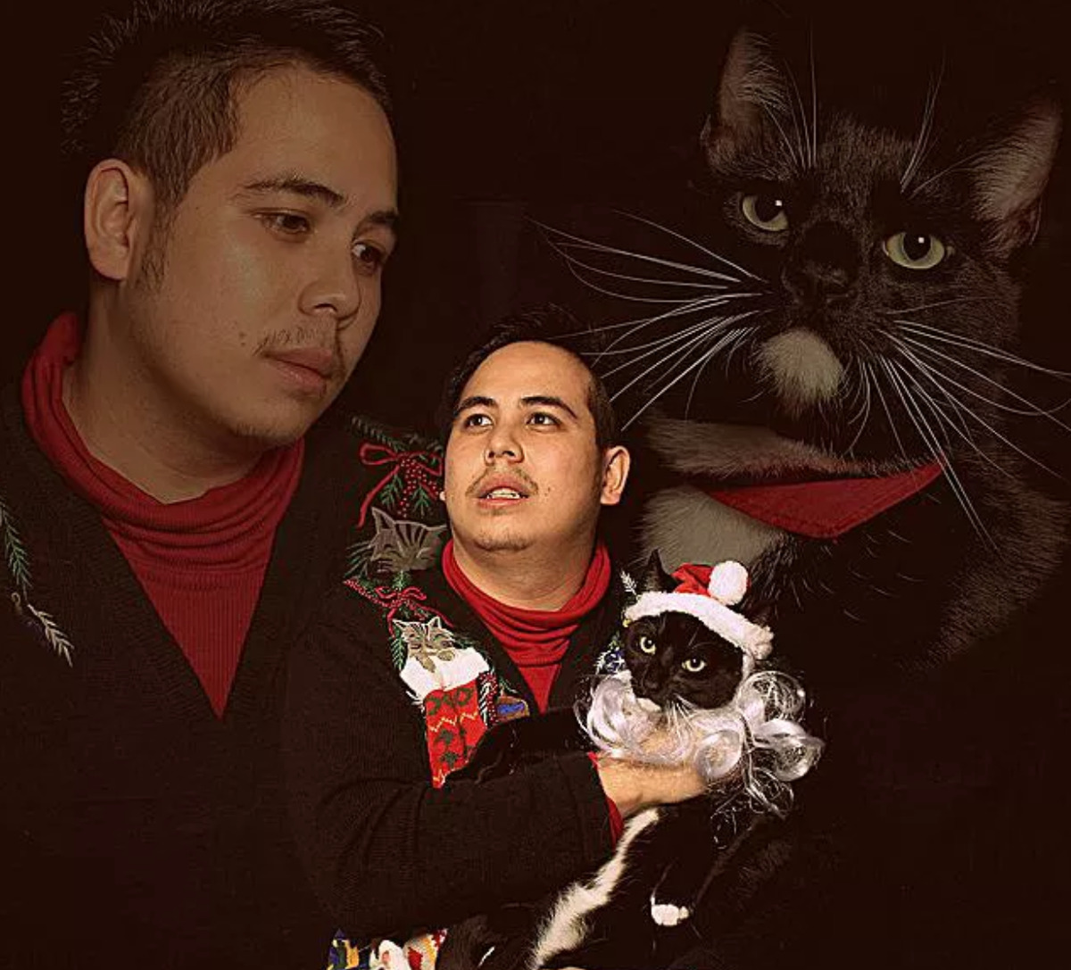man does dramatic christmas card with cat