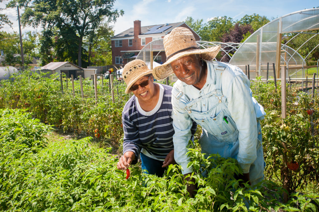 retirement-maryland-1162778121
