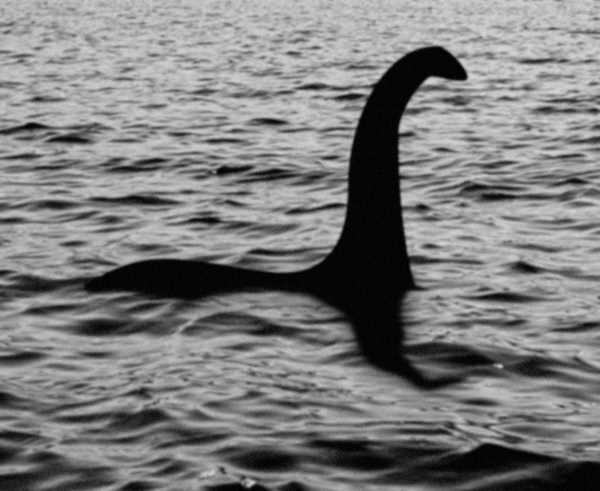 The real Nessie?