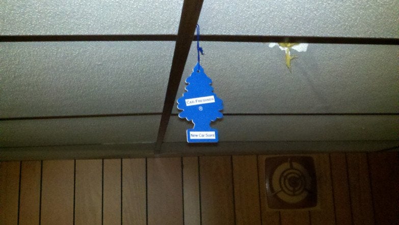 car air freshner hanging in smelly basement