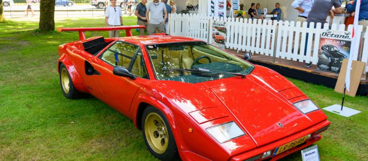 Red sports car in the grass 