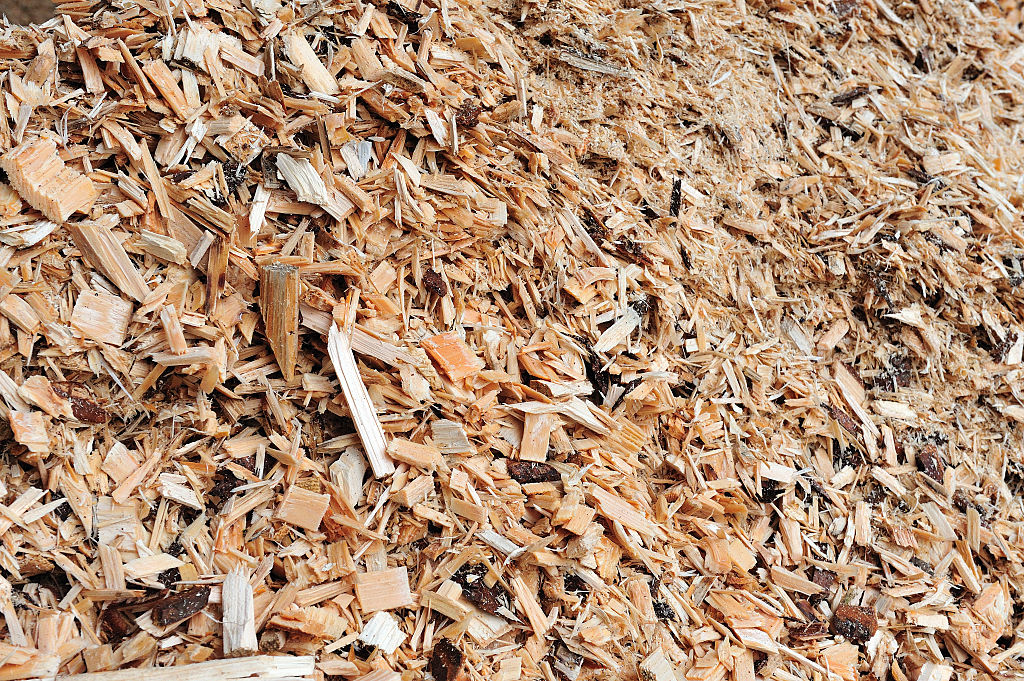 GettyImages-526258858-10595