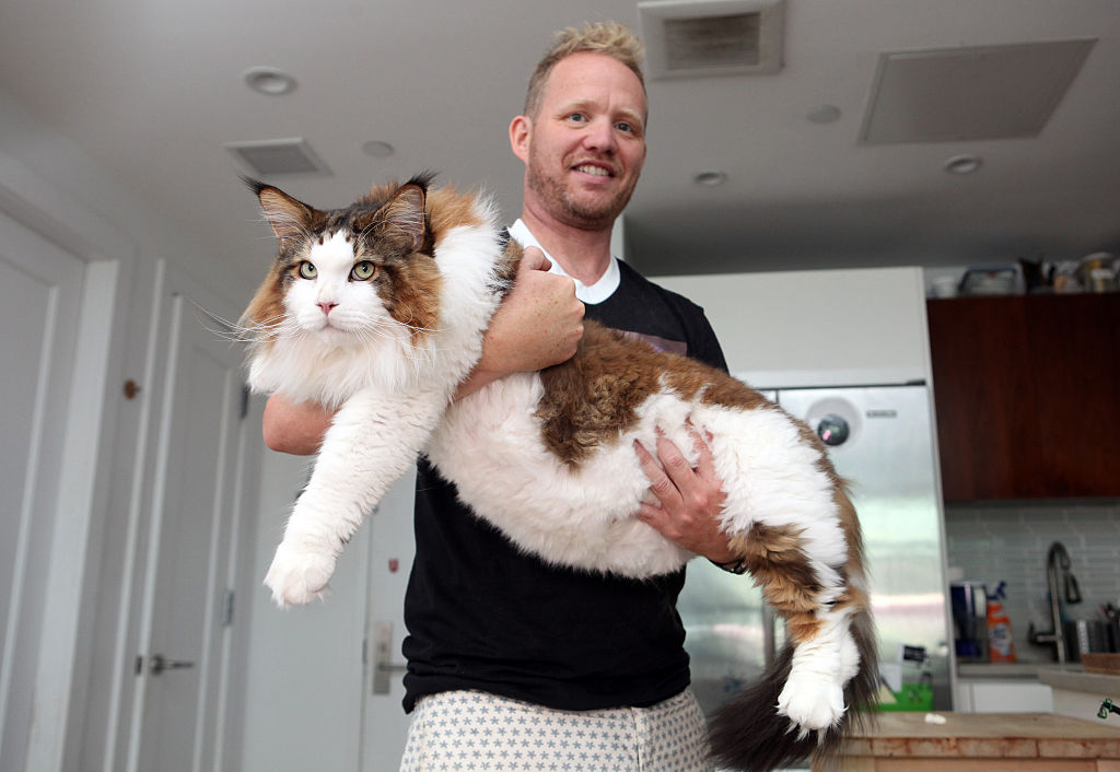 A man holds a giant cat in his arms.