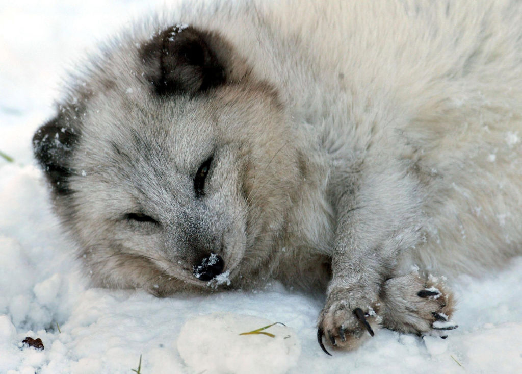 GettyImages-828275252-18778