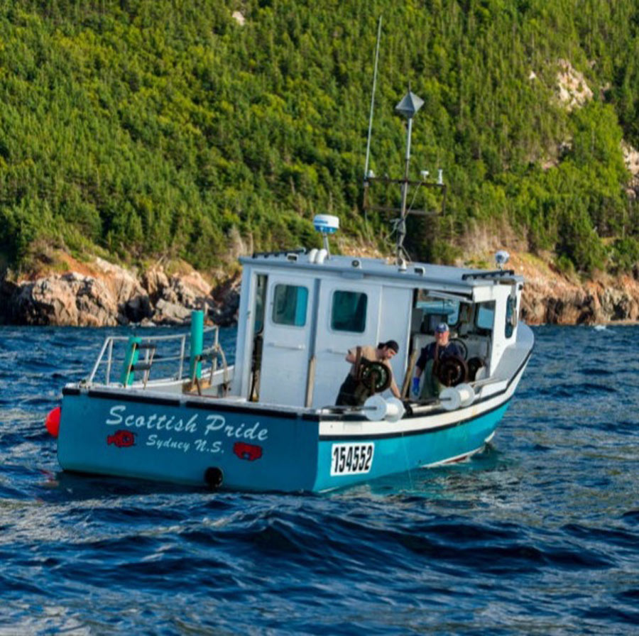 GettyImages-913061156-87796-20961