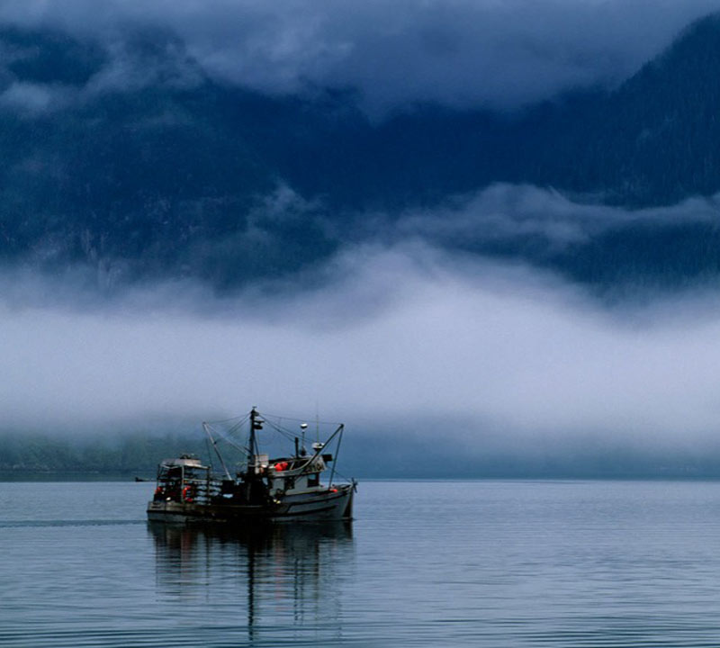 fishing-in-canada-at-night-93732-76262