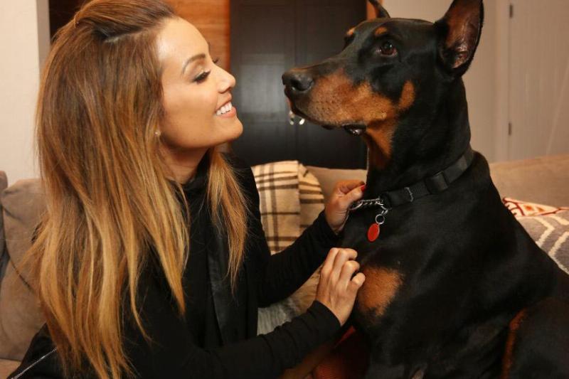 A woman pets her Doberman while they sit on the couch.