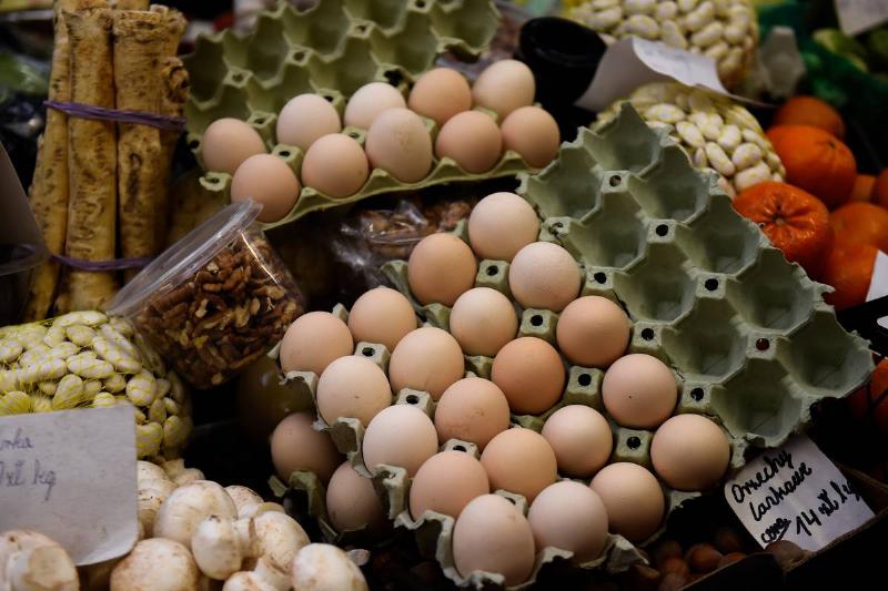 Organic eggs in cartons are for sale at a market.