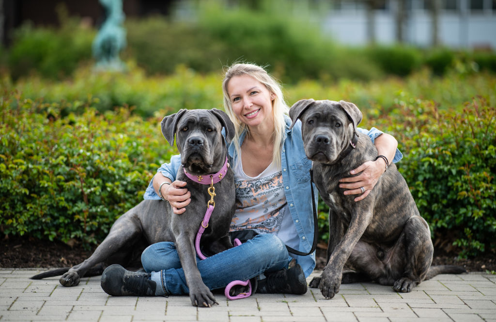 A woman sits on the ground and puts her arms around her two cane corsos.