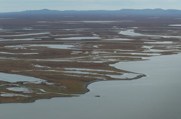  Permafrost which is found to some extent beneath nearly 85 percent of Alaska has been melting due to earths rising temperatures. Photo by Joe Raedle/Getty Images