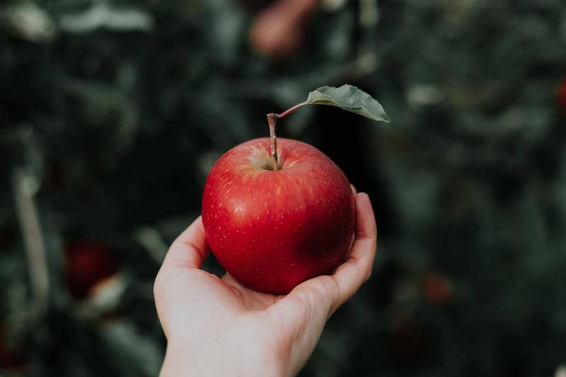 A person holds up a red apple.
