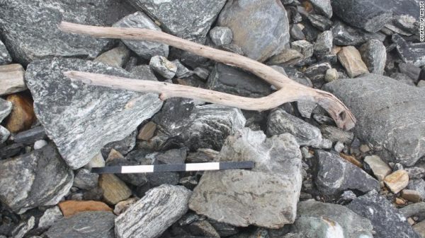 An object known locally as “tong” (plier), used in modern times for securing the load on haysleds in the winter. It was the first object found in the depression leading up to the pass. Radiocarbon-dated to the 5th Century AD. Scale is 50 cm. Photo: secretsoftheice.com.