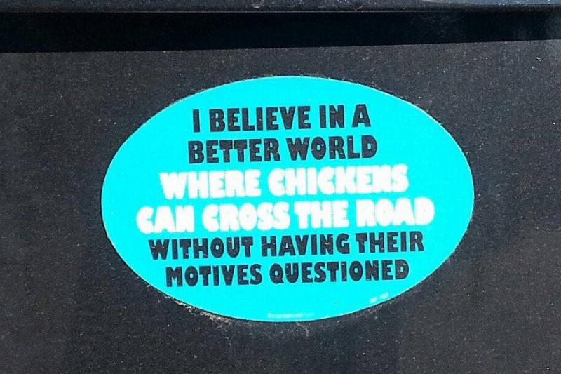 chicken cross the road bumper sticker
