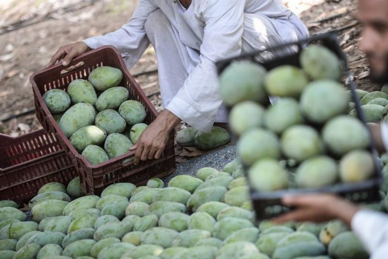 GettyImages-1024647928-11961