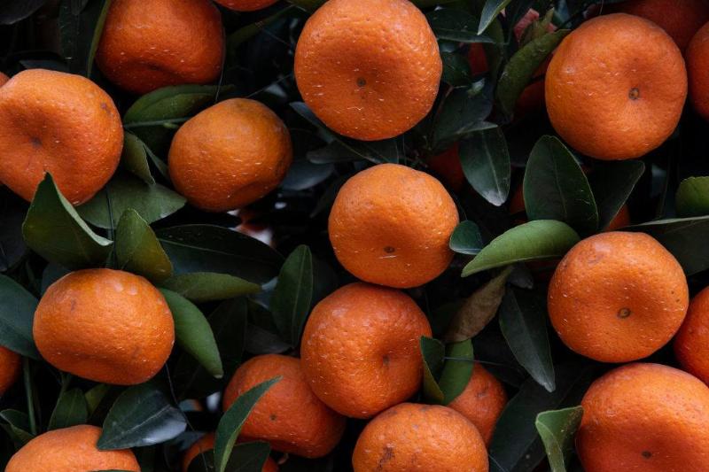 GettyImages-1093403250-35483