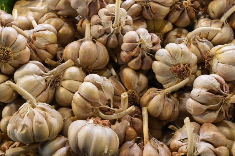 GettyImages-1126281806-41684