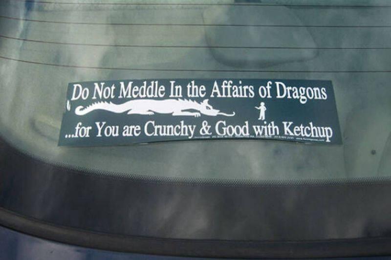 do not meddle in affairs of dragons bumper sticker