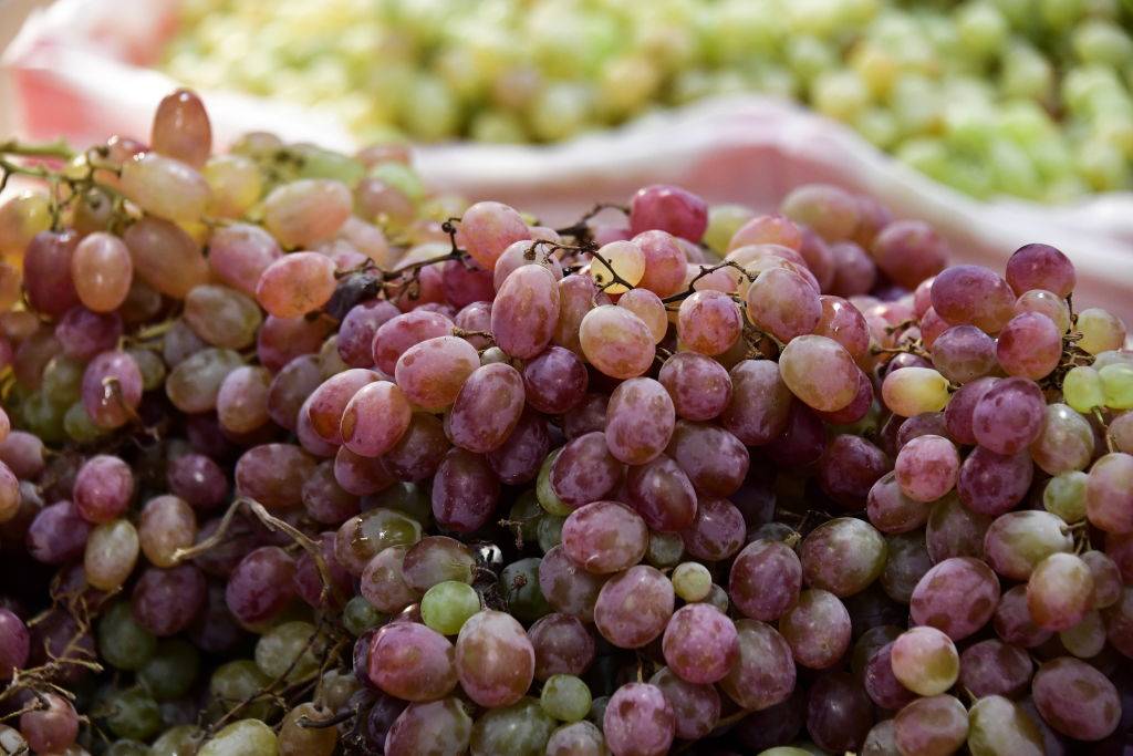 a close-up of purple and green grapes
