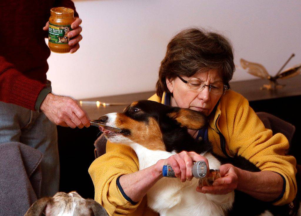 a dog being fed peanut butter from a jar