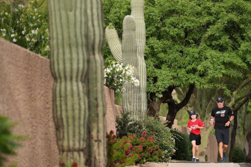 people running near trees and cacti in phoenix, arizona