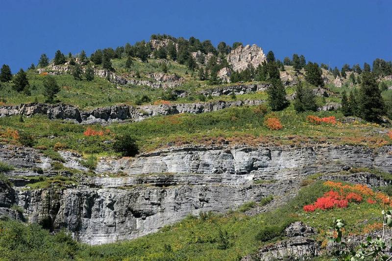 nature in the high mountains of Provo, Utah