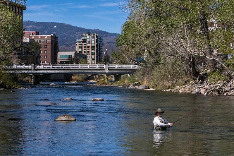 a fisherman waist-deep in a river in reno, nevada