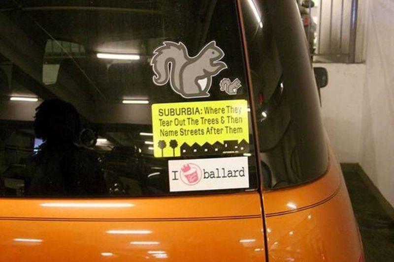 squirrel bumper sticker about taking trees down