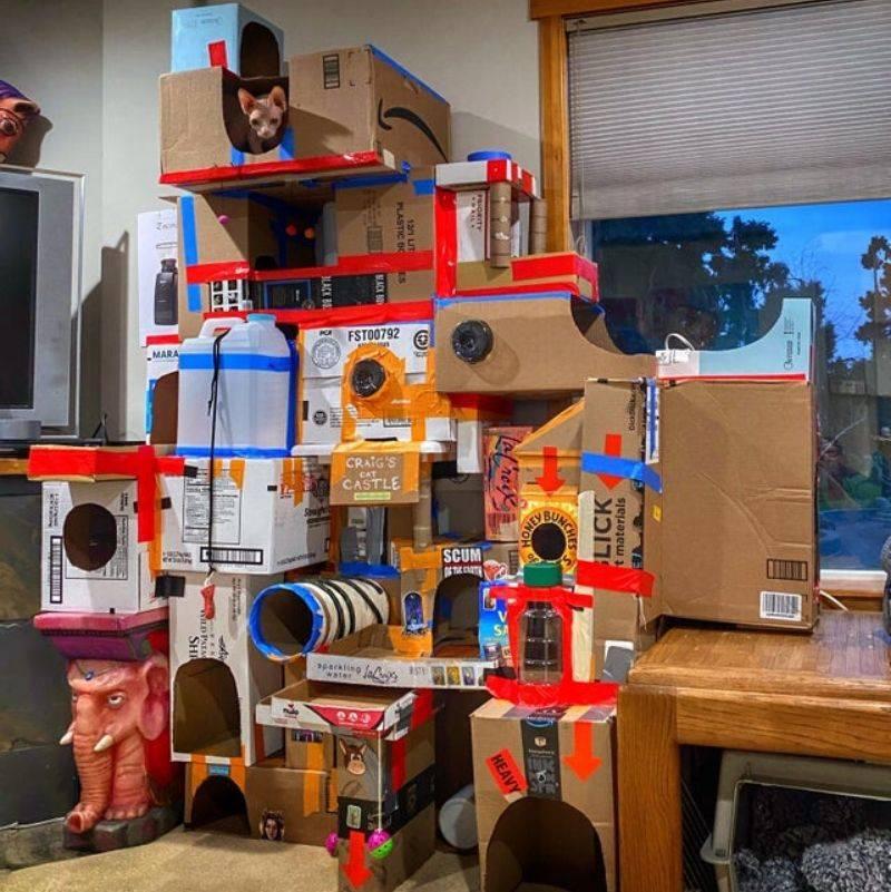 someone built a cat house for their cat