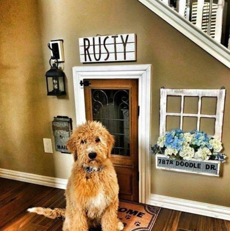 people made dog a house inside 
