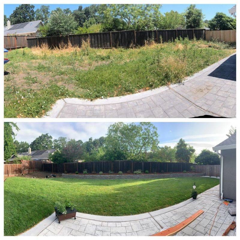 a before and after backyard make over