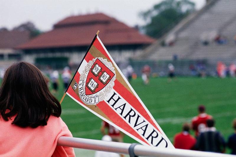Harvard pennant 
