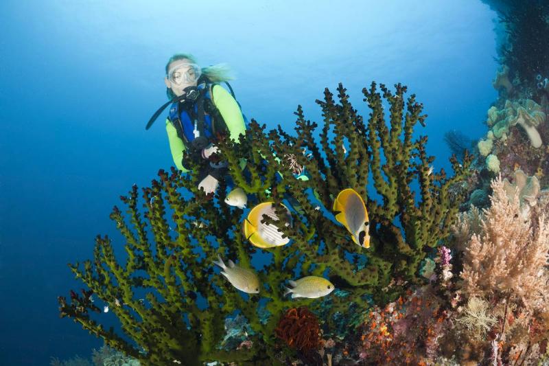 GettyImages-549401113