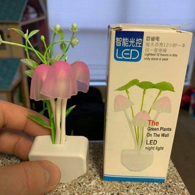 a cute little plug in light