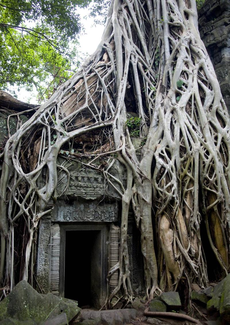 GettyImages-120399118